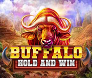 Buffalo Hold and Win