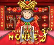 Year of the Monkey H5